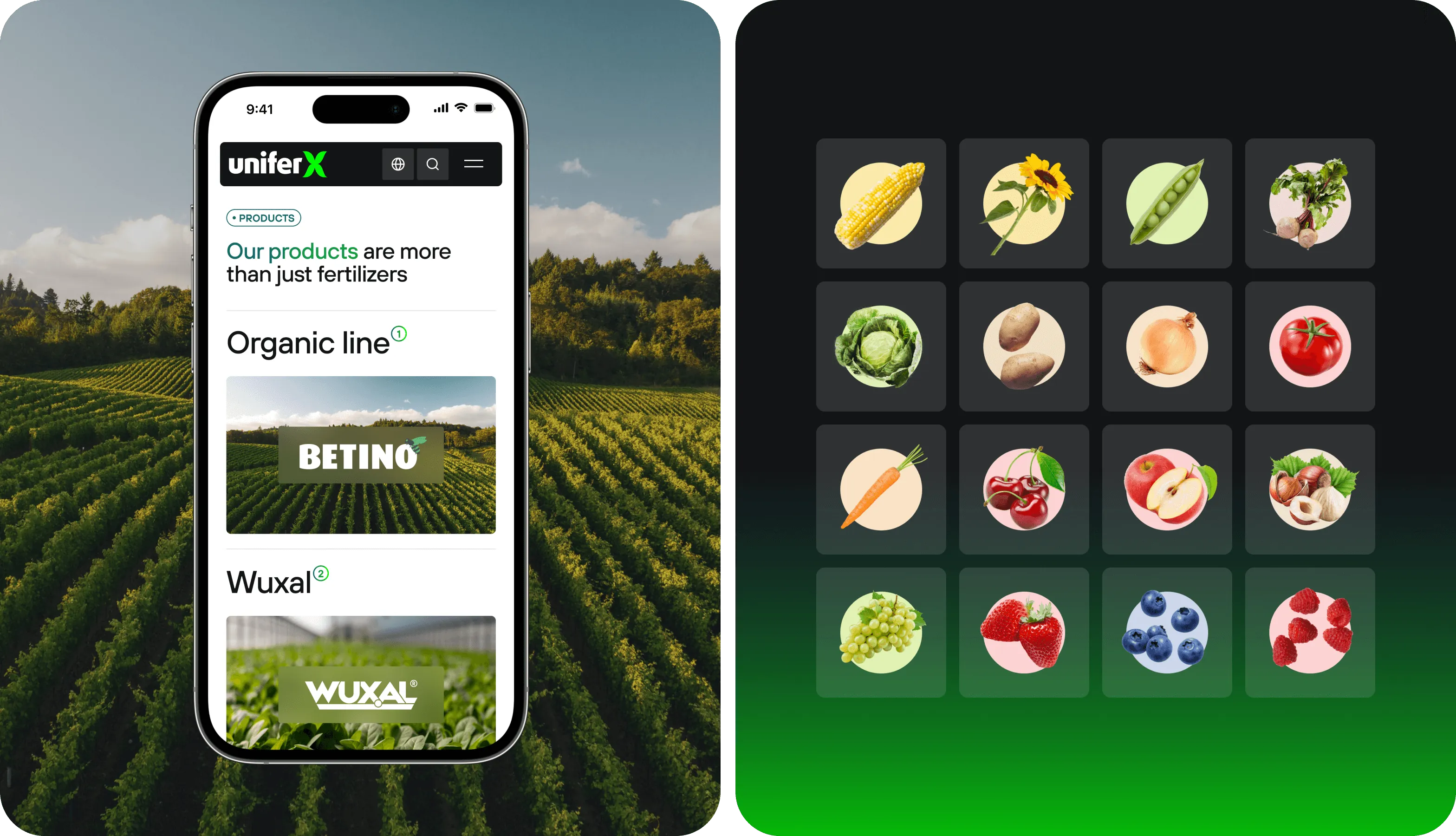 UX/UI дизайн і веб розробка для агротехнологічного підприємства - goodface.agency